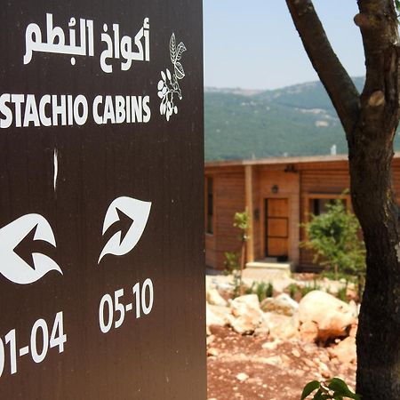 Ajloun Forest Reserve ภายนอก รูปภาพ