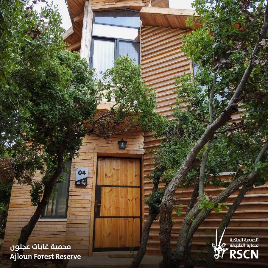Ajloun Forest Reserve ภายนอก รูปภาพ