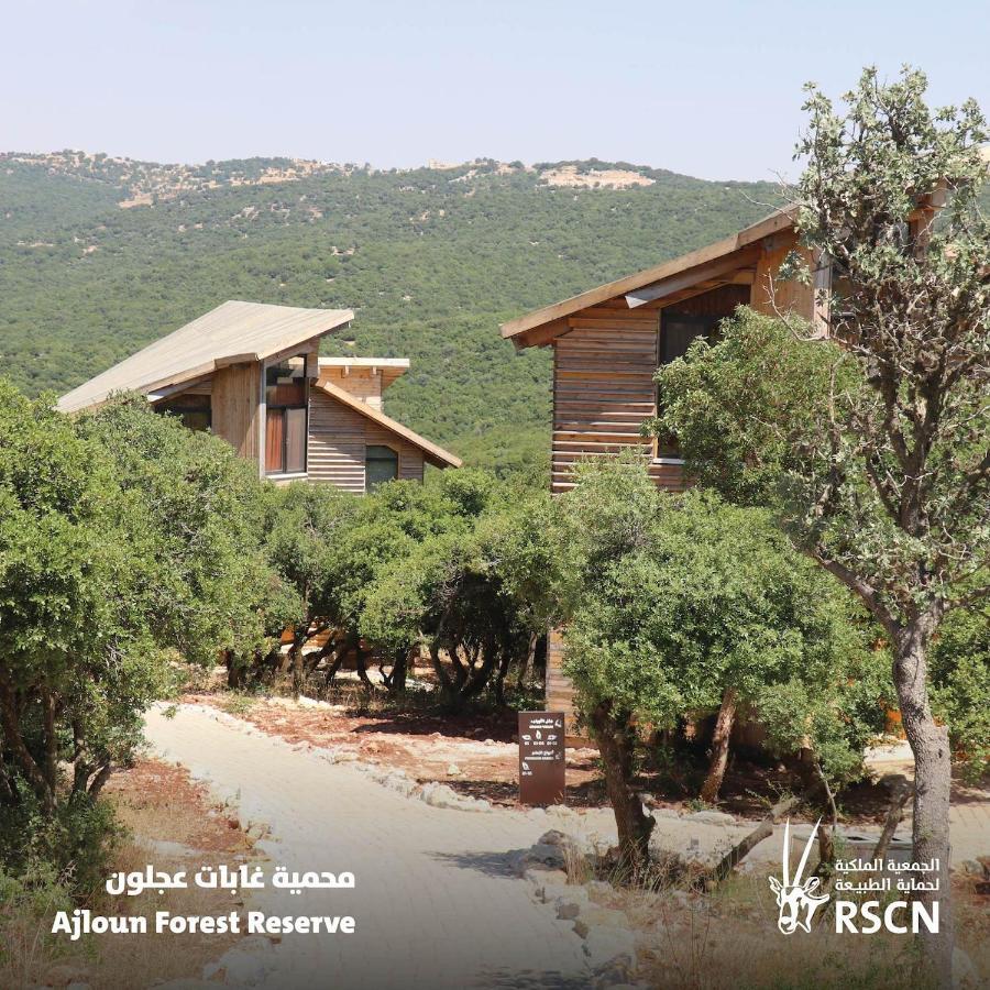 Ajloun Forest Reserve ภายนอก รูปภาพ