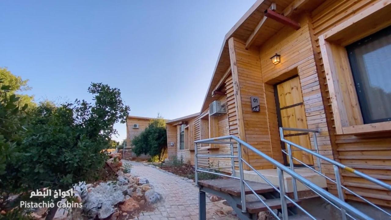 Ajloun Forest Reserve ภายนอก รูปภาพ