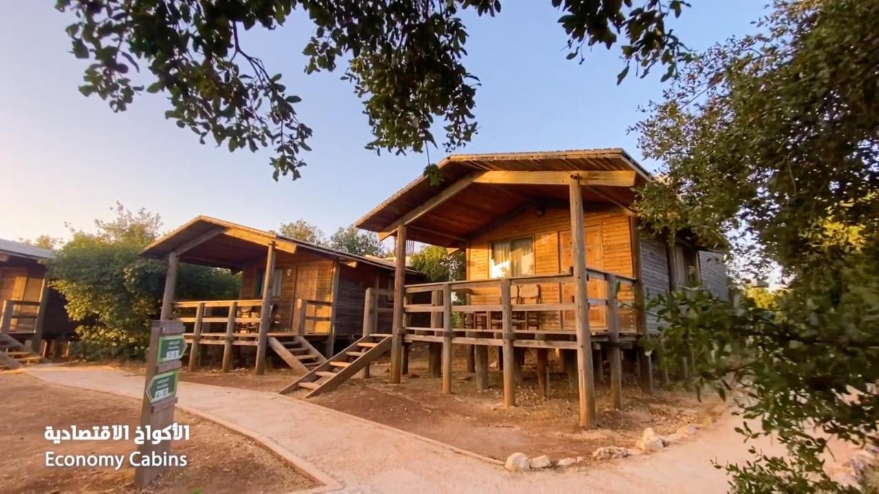 Ajloun Forest Reserve ภายนอก รูปภาพ